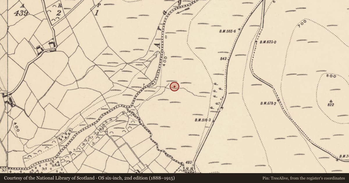 Ordnance Survey six-inch map, 2nd edition (1888–1915) covering the location of Fulacht fia, Coumaraglinmountain, County Waterford, with a pin at the register's coordinates
