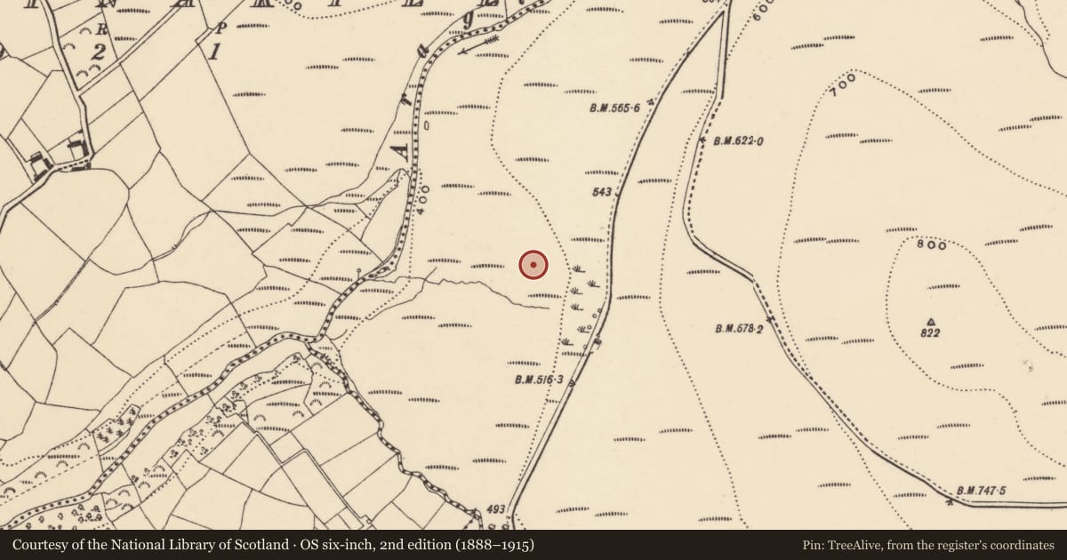 Ordnance Survey six-inch map, 2nd edition (1888–1915) covering the location of Fulacht fia, Coumaraglinmountain, County Waterford, with a pin at the register's coordinates