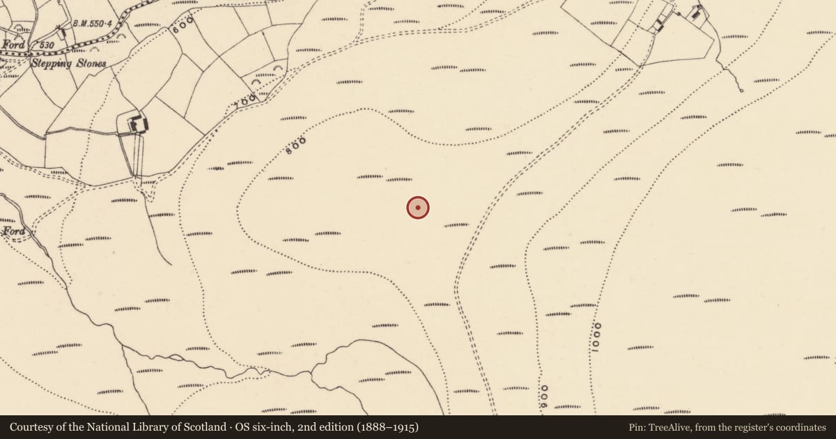 Ordnance Survey six-inch map, 2nd edition (1888–1915) covering the location of Standing stone, Coumaraglinmountain, County Waterford, with a pin at the register's coordinates