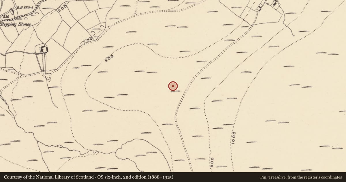 Ordnance Survey six-inch map, 2nd edition (1888–1915) covering the location of Kerb circle, Coumaraglinmountain, County Waterford, with a pin at the register's coordinates