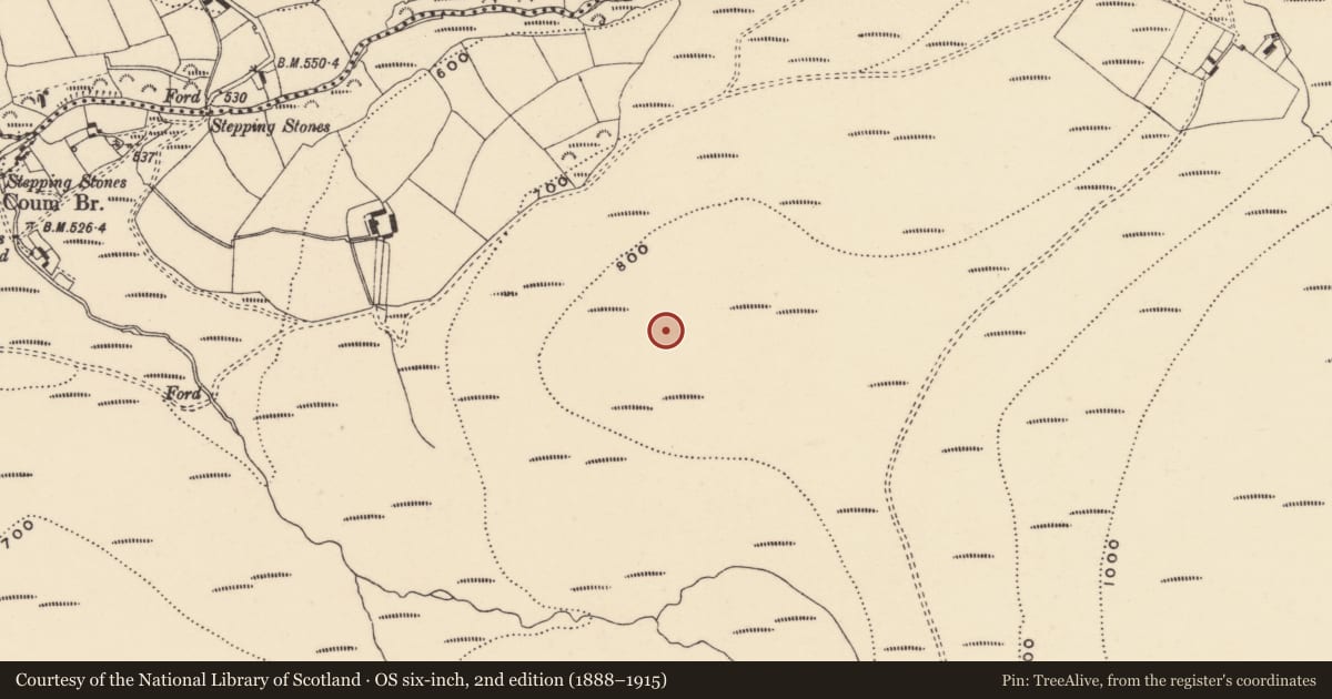 Ordnance Survey six-inch map, 2nd edition (1888–1915) covering the location of Standing stone, Coumaraglinmountain, County Waterford, with a pin at the register's coordinates
