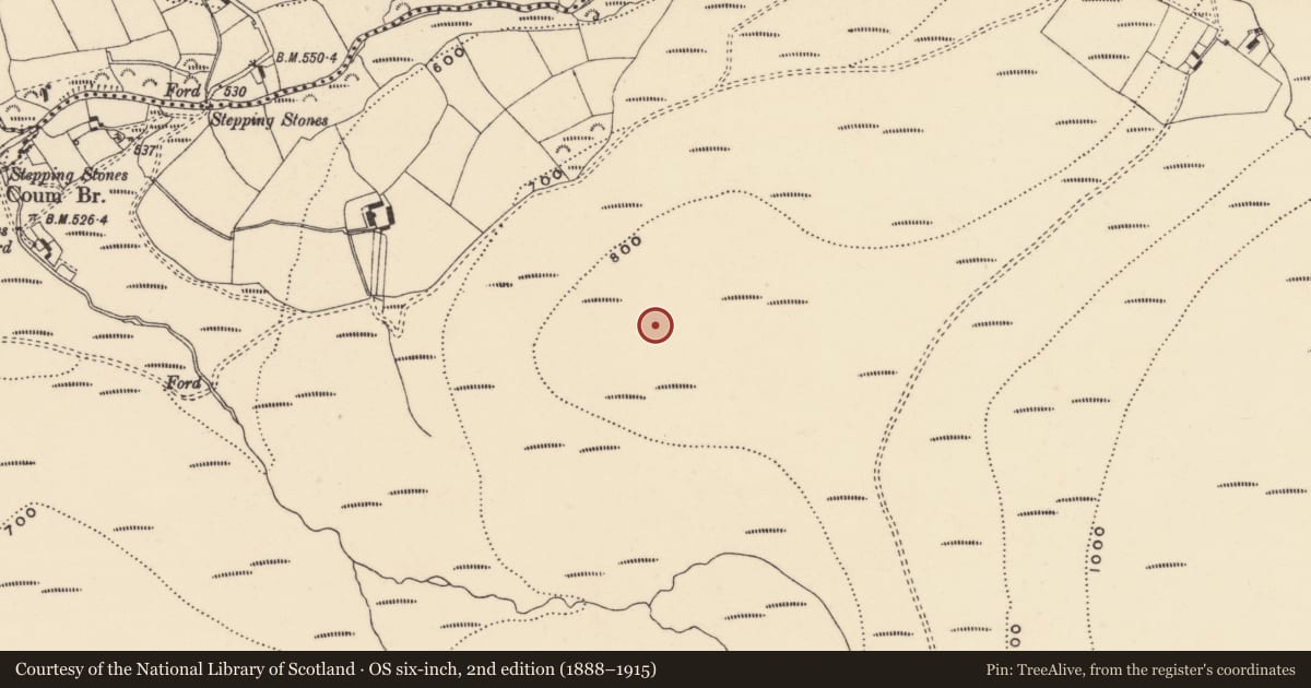 Ordnance Survey six-inch map, 2nd edition (1888–1915) covering the location of Standing stone, Coumaraglinmountain, County Waterford, with a pin at the register's coordinates