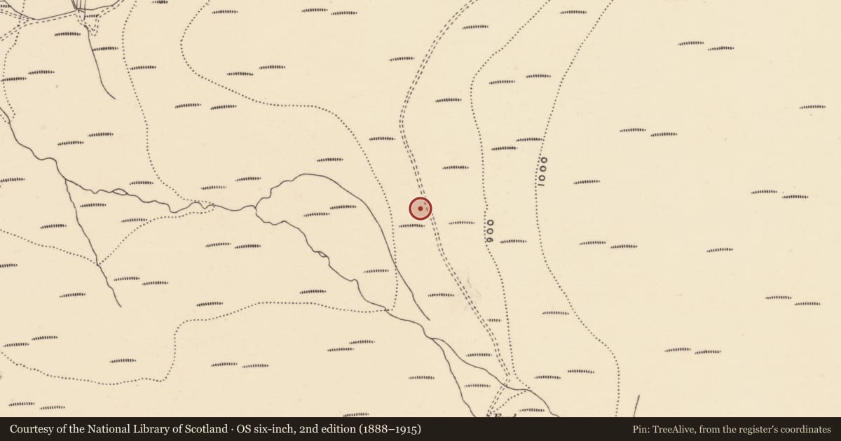 Ordnance Survey six-inch map, 2nd edition (1888–1915) covering the location of Hut site, Coumaraglinmountain, County Waterford, with a pin at the register's coordinates