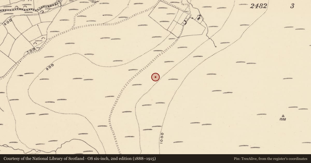 Ordnance Survey six-inch map, 2nd edition (1888–1915) covering the location of Hut site, Coumaraglinmountain, County Waterford, with a pin at the register's coordinates