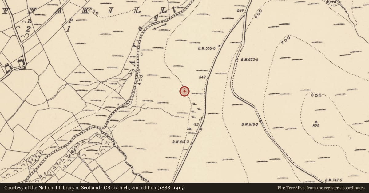 Ordnance Survey six-inch map, 2nd edition (1888–1915) covering the location of Booley hut, Coumaraglinmountain, County Waterford, with a pin at the register's coordinates