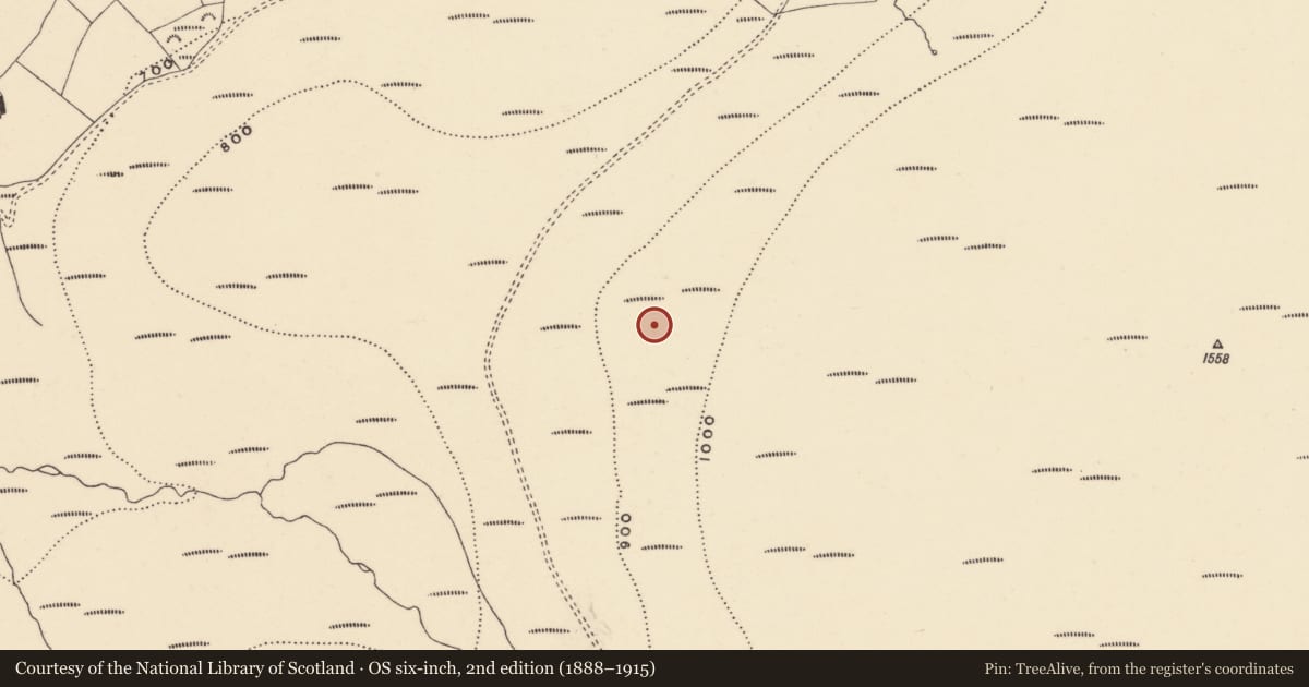Ordnance Survey six-inch map, 2nd edition (1888–1915) covering the location of Booley hut, Coumaraglinmountain, County Waterford, with a pin at the register's coordinates