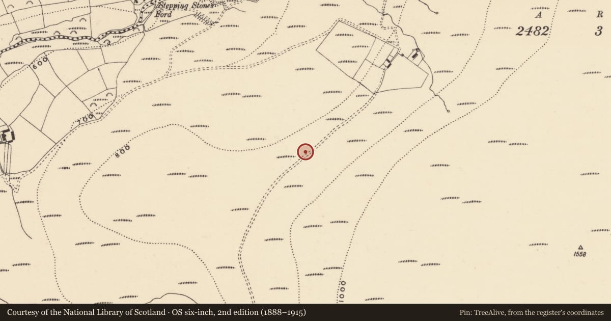 Ordnance Survey six-inch map, 2nd edition (1888–1915) covering the location of Standing stone, Coumaraglinmountain, County Waterford, with a pin at the register's coordinates