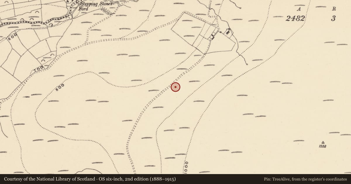 Ordnance Survey six-inch map, 2nd edition (1888–1915) covering the location of Cairn - ring-cairn, Coumaraglinmountain, County Waterford, with a pin at the register's coordinates