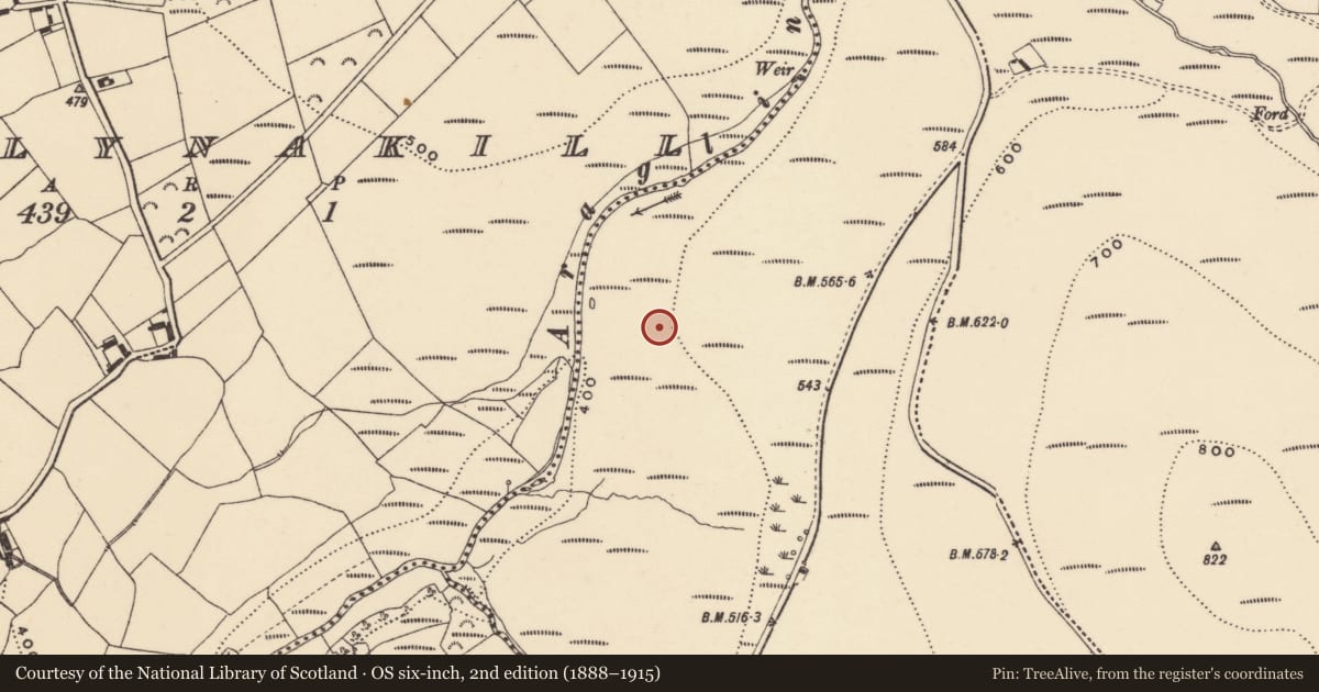 Ordnance Survey six-inch map, 2nd edition (1888–1915) covering the location of Hut site, Coumaraglinmountain, County Waterford, with a pin at the register's coordinates