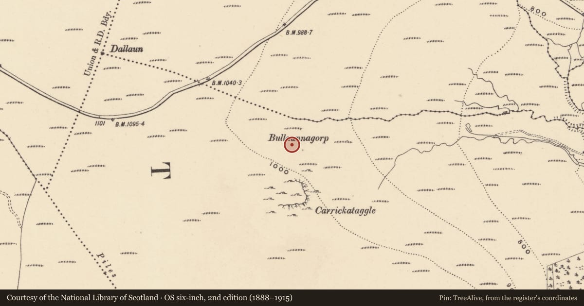 Ordnance Survey six-inch map, 2nd edition (1888–1915) covering the location of Standing stone, Glendalligan, County Waterford, with a pin at the register's coordinates