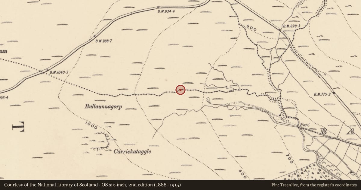 Ordnance Survey six-inch map, 2nd edition (1888–1915) covering the location of House - indeterminate date, Treenearla Commons, County Waterford, with a pin at the register's coordinates