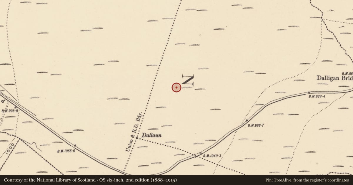 Ordnance Survey six-inch map, 2nd edition (1888–1915) covering the location of Cairn - unclassified, Treenearla Commons, County Waterford, with a pin at the register's coordinates