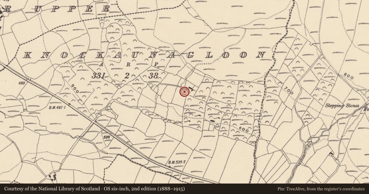 Ordnance Survey six-inch map, 2nd edition (1888–1915) covering the location of Ringfort - cashel, Knockaunagloon, County Waterford, with a pin at the register's coordinates
