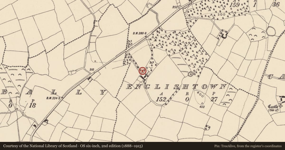 Ordnance Survey six-inch map, 2nd edition (1888–1915) covering the location of Bullaun stone (present location), Englishtown, County Waterford, with a pin at the register's coordinates