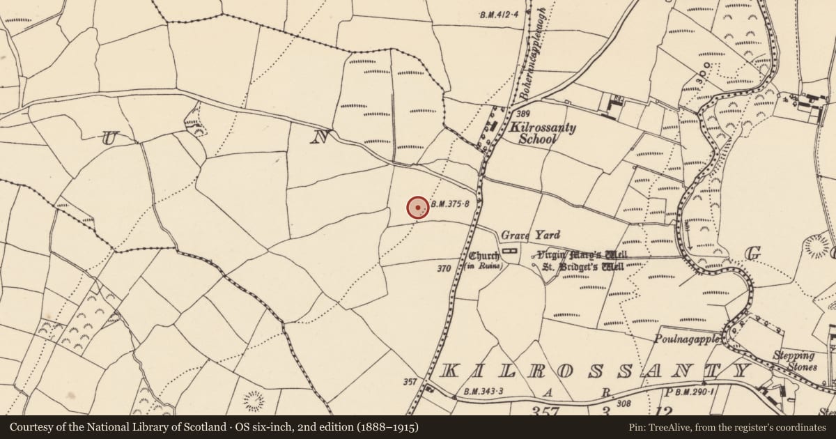 Ordnance Survey six-inch map, 2nd edition (1888–1915) covering the location of Standing stone, Curraun, County Waterford, with a pin at the register's coordinates