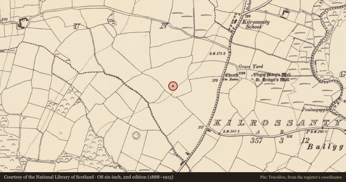 Ordnance Survey six-inch map, 2nd edition (1888–1915) covering the location of Standing stone, Curraun, County Waterford, with a pin at the register's coordinates