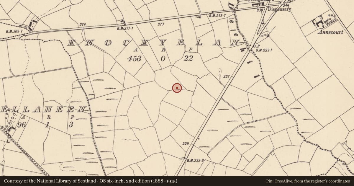 Ordnance Survey six-inch map, 2nd edition (1888–1915) covering the location of Enclosure, Knockyelan, County Waterford, with a pin at the register's coordinates
