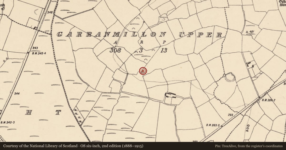 Ordnance Survey six-inch map, 2nd edition (1888–1915) covering the location of Bullaun stone, Garranmillon Upper, County Waterford, with a pin at the register's coordinates