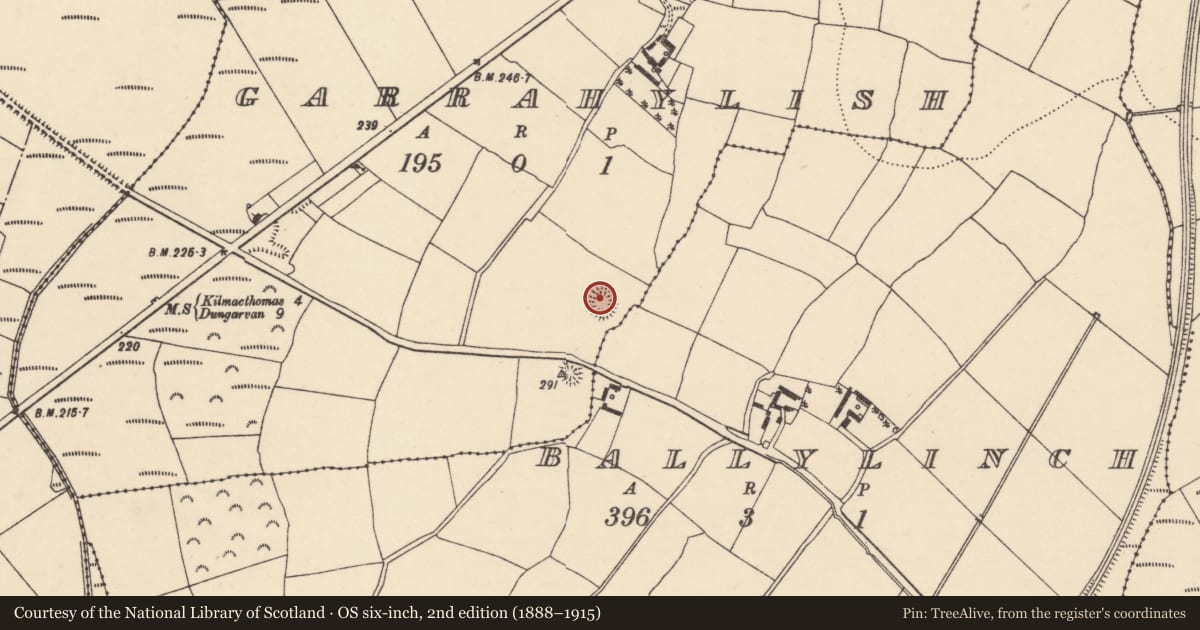Ordnance Survey six-inch map, 2nd edition (1888–1915) covering the location of Ringfort - rath, Garrahylish, County Waterford, with a pin at the register's coordinates