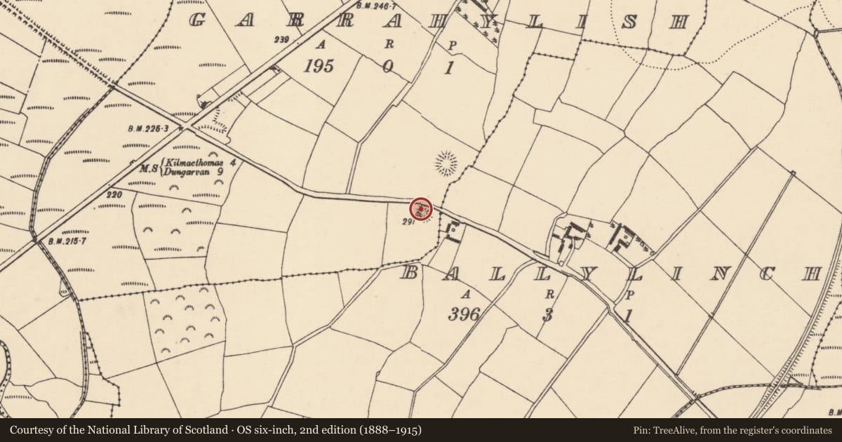 Ordnance Survey six-inch map, 2nd edition (1888–1915) covering the location of Ringfort - rath, Garrahylish, County Waterford, with a pin at the register's coordinates