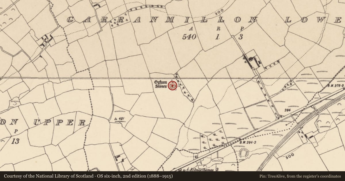 Ordnance Survey six-inch map, 2nd edition (1888–1915) covering the location of Ecclesiastical enclosure, Garranmillon Lower, County Waterford, with a pin at the register's coordinates