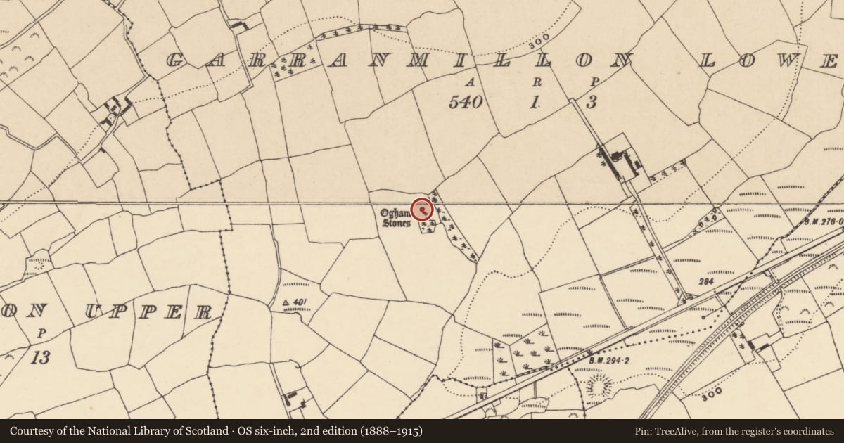 Ordnance Survey six-inch map, 2nd edition (1888–1915) covering the location of Ogham stone, Garranmillon Lower, County Waterford, with a pin at the register's coordinates