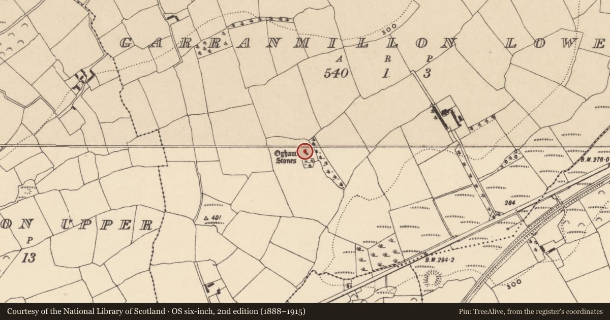 Ordnance Survey six-inch map, 2nd edition (1888–1915) covering the location of Ogham stone, Garranmillon Lower, County Waterford, with a pin at the register's coordinates