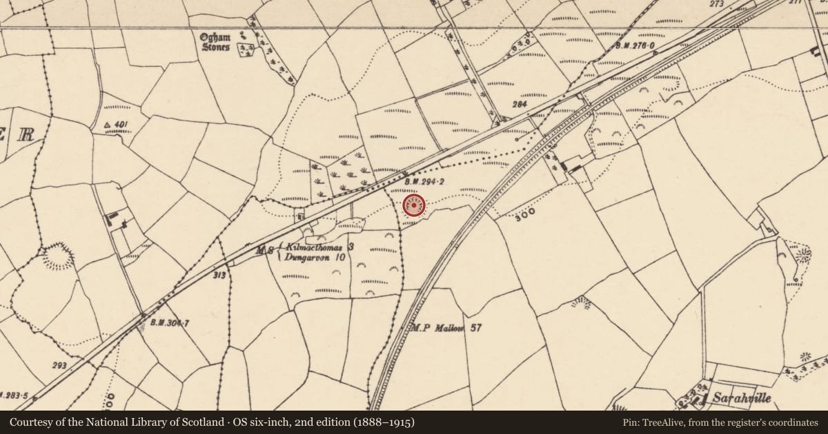 Ordnance Survey six-inch map, 2nd edition (1888–1915) covering the location of Ringfort - unclassified, An Fhaiche (Bar. Na Déise lasmuigh den Drom), County Waterford, with a pin at the register's coordinates