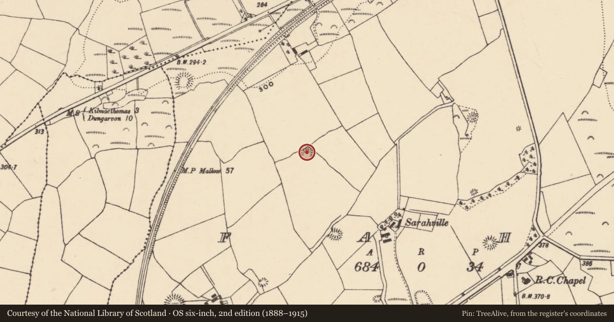 Ordnance Survey six-inch map, 2nd edition (1888–1915) covering the location of Ringfort - unclassified, An Fhaiche (Bar. Na Déise lasmuigh den Drom), County Waterford, with a pin at the register's coordinates