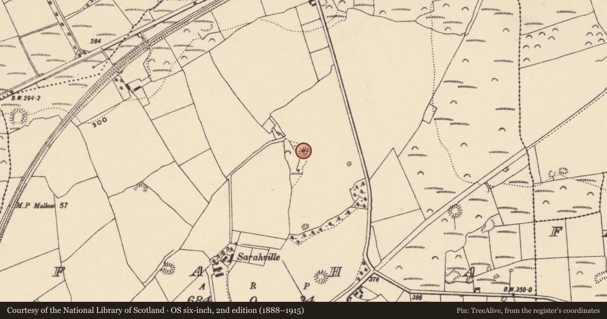 Ordnance Survey six-inch map, 2nd edition (1888–1915) covering the location of Earthwork, An Fhaiche (Bar. Na Déise lasmuigh den Drom), County Waterford, with a pin at the register's coordinates