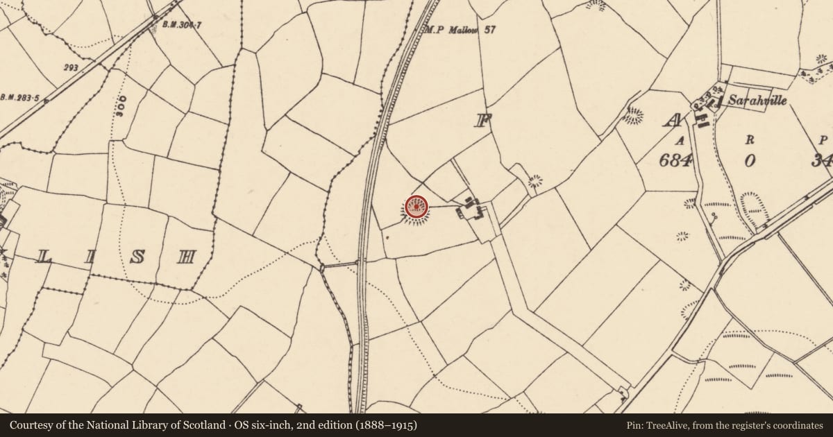 Ordnance Survey six-inch map, 2nd edition (1888–1915) covering the location of Ringfort - rath, An Fhaiche (Bar. Na Déise lasmuigh den Drom), County Waterford, with a pin at the register's coordinates