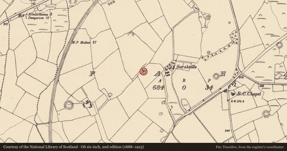 Ordnance Survey six-inch map, 2nd edition (1888–1915) covering the location of Ringfort - rath, An Fhaiche (Bar. Na Déise lasmuigh den Drom), County Waterford, with a pin at the register's coordinates