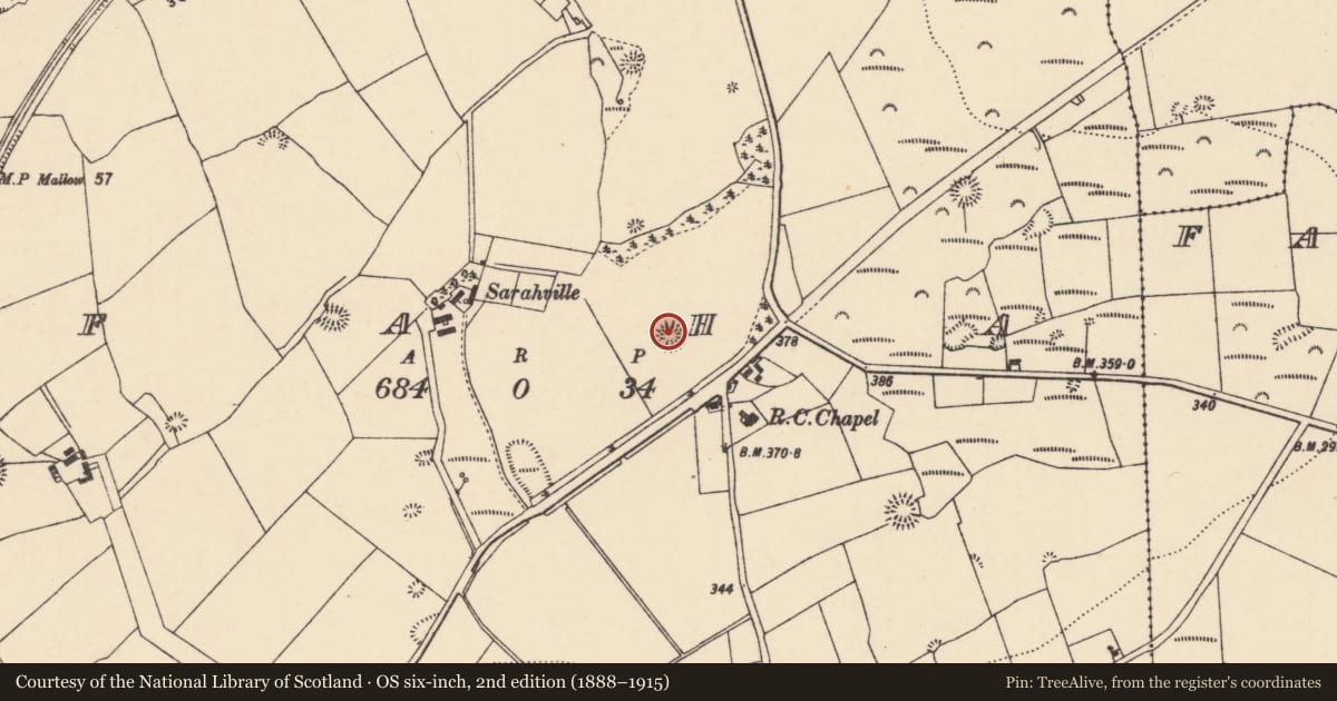 Ordnance Survey six-inch map, 2nd edition (1888–1915) covering the location of Ringfort - unclassified, An Fhaiche (Bar. Na Déise lasmuigh den Drom), County Waterford, with a pin at the register's coordinates