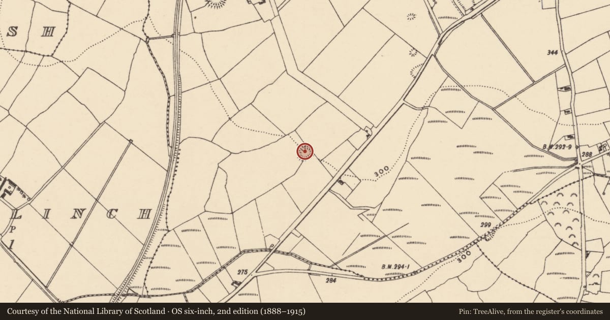 Ordnance Survey six-inch map, 2nd edition (1888–1915) covering the location of Souterrain, An Fhaiche (Bar. Na Déise lasmuigh den Drom), County Waterford, with a pin at the register's coordinates