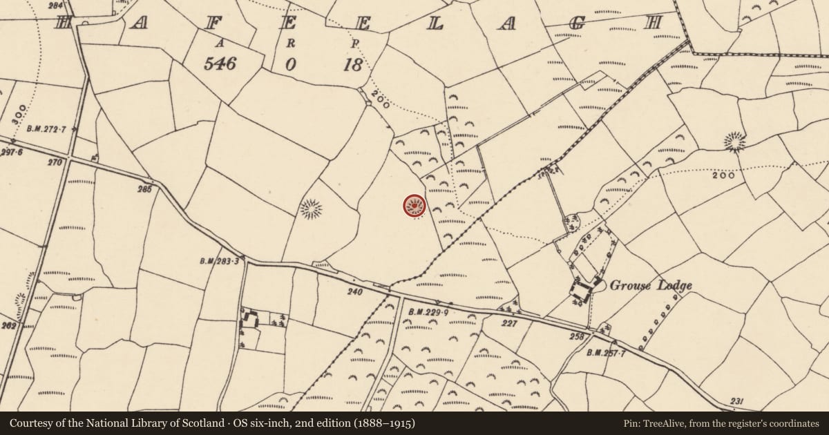 Ordnance Survey six-inch map, 2nd edition (1888–1915) covering the location of Ringfort - rath, Fahafeelagh, County Waterford, with a pin at the register's coordinates