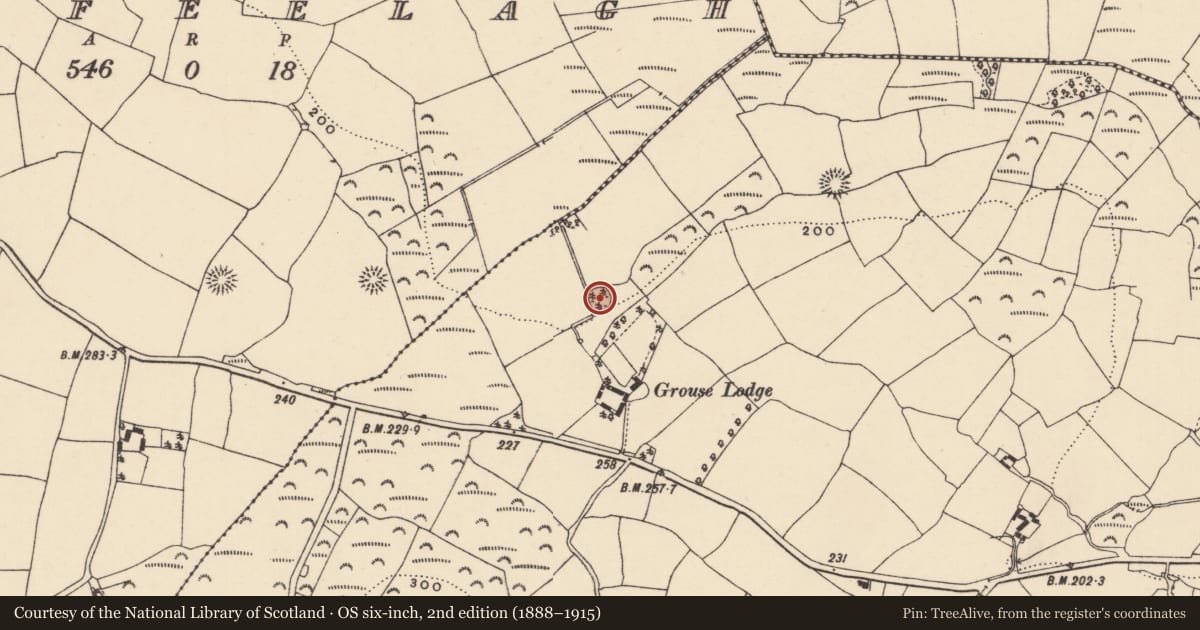 Ordnance Survey six-inch map, 2nd edition (1888–1915) covering the location of Designed landscape - tree-ring, Garranturton, County Waterford, with a pin at the register's coordinates
