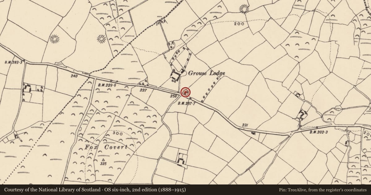 Ordnance Survey six-inch map, 2nd edition (1888–1915) covering the location of Designed landscape - tree-ring, Garranturton, County Waterford, with a pin at the register's coordinates