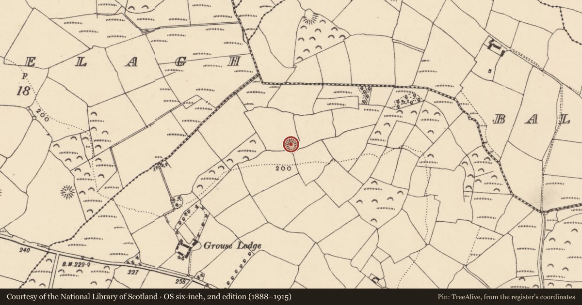 Ordnance Survey six-inch map, 2nd edition (1888–1915) covering the location of Ringfort - unclassified, Garranturton, County Waterford, with a pin at the register's coordinates