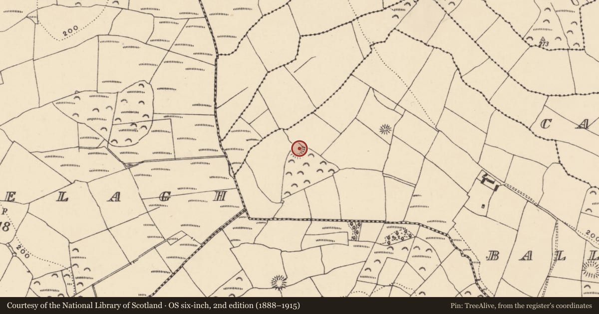 Ordnance Survey six-inch map, 2nd edition (1888–1915) covering the location of Enclosure, Ballynabanoge South, County Waterford, with a pin at the register's coordinates