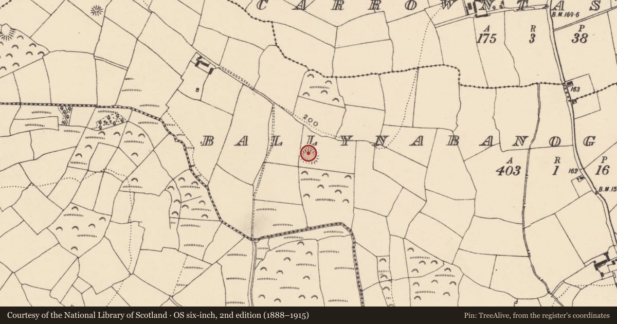 Ordnance Survey six-inch map, 2nd edition (1888–1915) covering the location of Ringfort - unclassified, Ballynabanoge South, County Waterford, with a pin at the register's coordinates