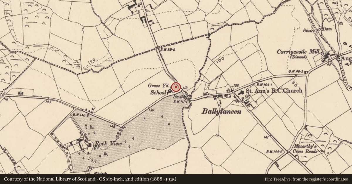 Ordnance Survey six-inch map, 2nd edition (1888–1915) covering the location of Burial ground, Ballylaneen, County Waterford, with a pin at the register's coordinates