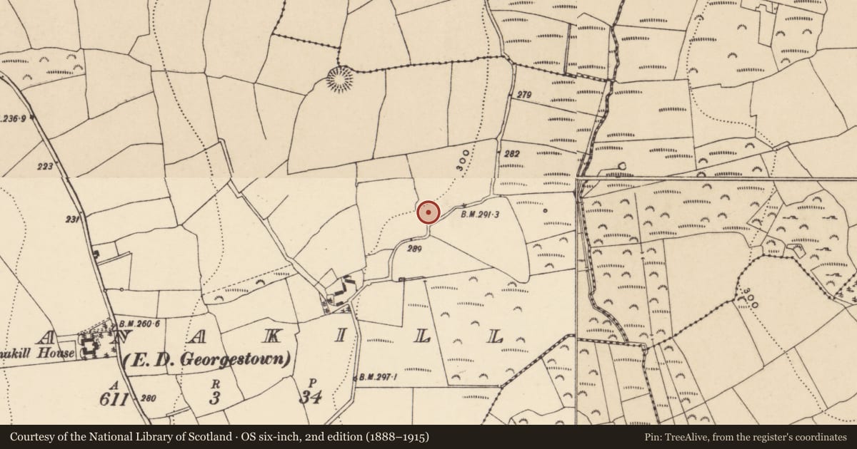 Ordnance Survey six-inch map, 2nd edition (1888–1915) covering the location of Ringfort - unclassified, Shanakill (Decies without Drum By., Rossduff Par.), County Waterford, with a pin at the register's coordinates