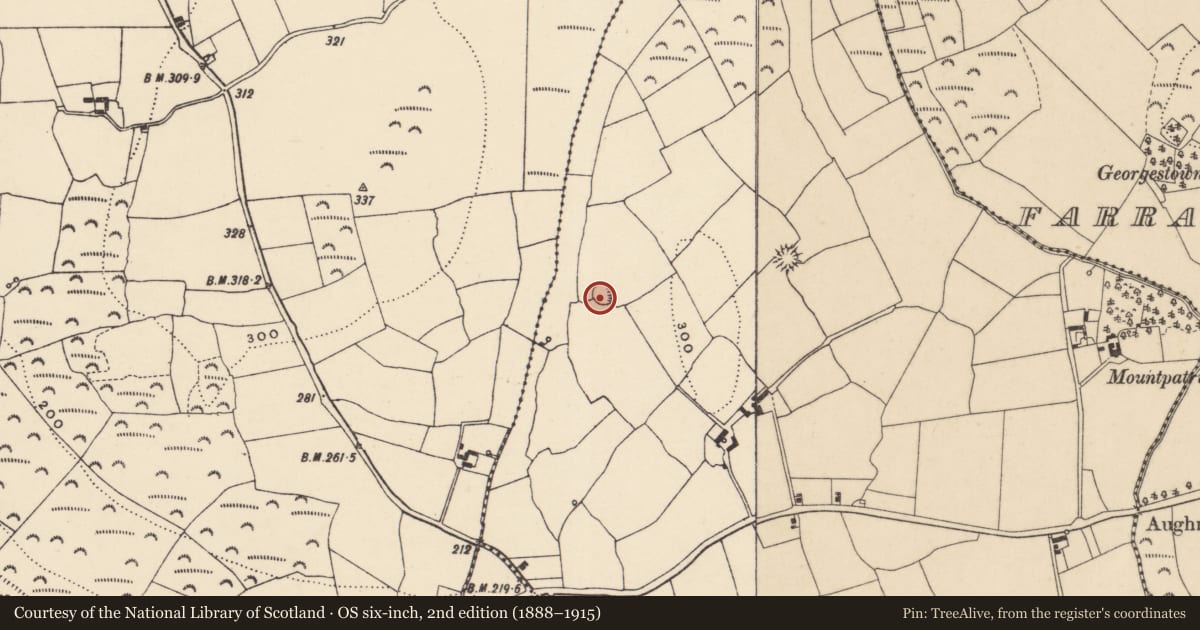 Ordnance Survey six-inch map, 2nd edition (1888–1915) covering the location of Ringfort - rath, Ballyvadden, County Waterford, with a pin at the register's coordinates