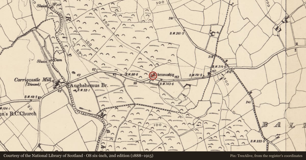 Ordnance Survey six-inch map, 2nd edition (1888–1915) covering the location of Ritual site - holy well, Shanakill (Decies without Drum By., Rossduff Par.), County Waterford, with a pin at the register's coordinates