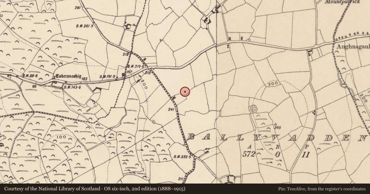 Ordnance Survey six-inch map, 2nd edition (1888–1915) covering the location of Ringfort - unclassified, Ballyvadden, County Waterford, with a pin at the register's coordinates