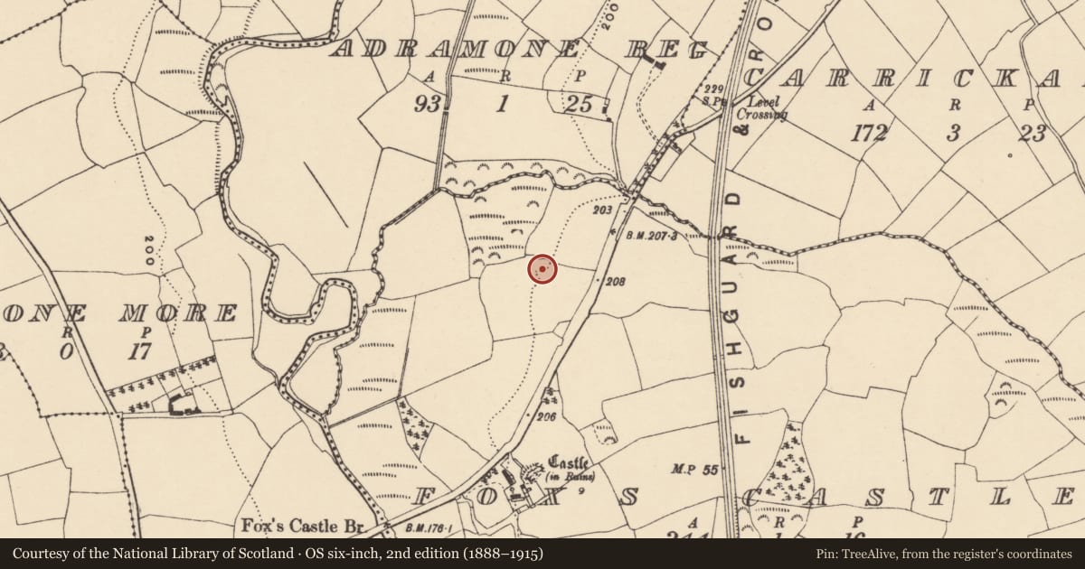 Ordnance Survey six-inch map, 2nd edition (1888–1915) covering the location of Ringfort - rath, Fox'S Castle, County Waterford, with a pin at the register's coordinates