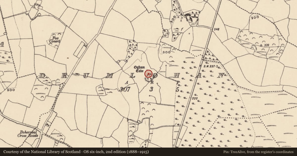 Ordnance Survey six-inch map, 2nd edition (1888–1915) covering the location of Bullaun stone, Drumlohan, County Waterford, with a pin at the register's coordinates
