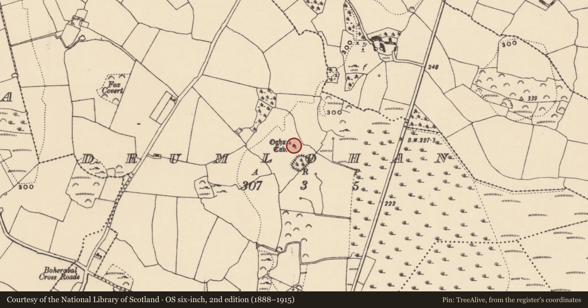 Ordnance Survey six-inch map, 2nd edition (1888–1915) covering the location of Ogham stone, Drumlohan, County Waterford, with a pin at the register's coordinates