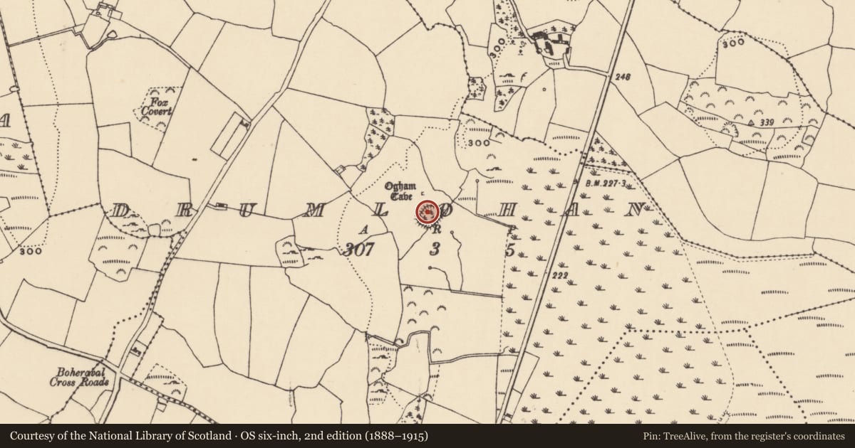 Ordnance Survey six-inch map, 2nd edition (1888–1915) covering the location of Field boundary, Drumlohan, County Waterford, with a pin at the register's coordinates