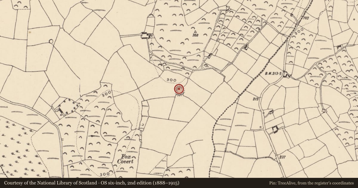 Ordnance Survey six-inch map, 2nd edition (1888–1915) covering the location of Ringfort - rath, Garranturton, County Waterford, with a pin at the register's coordinates